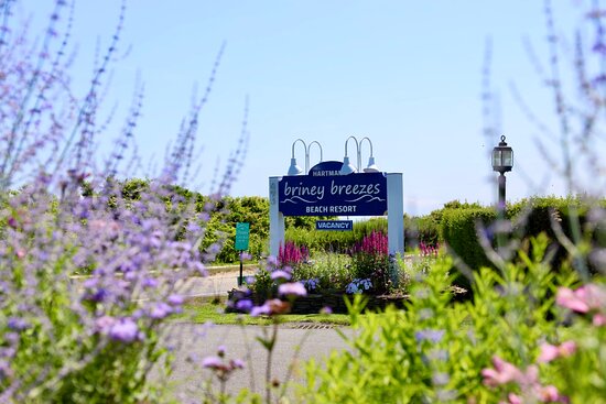 Hartman's Briney Breezes Beach Resort