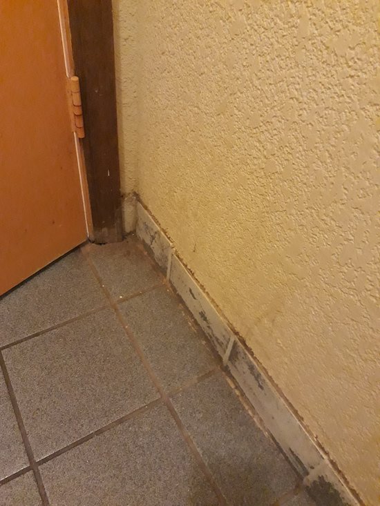 Executive Inn
