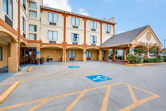 Comfort Inn & Suites Love Field - Dallas Market Center