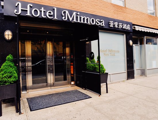 Hotel Mimosa New York