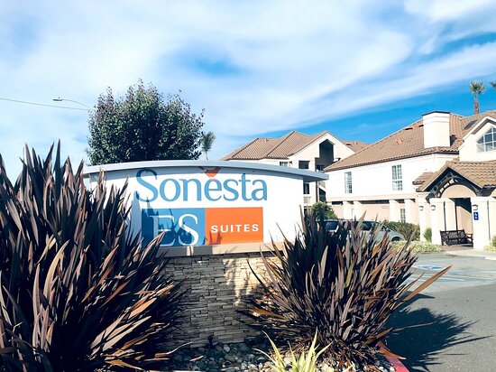 Sonesta ES Suites San Francisco Airport San Bruno