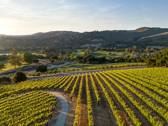 Carmel Valley Ranch the Unbound Collection By Hyatt