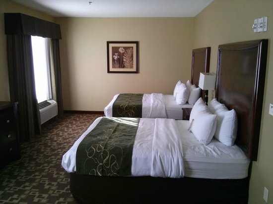 Comfort Suites Near Northeast Mall
