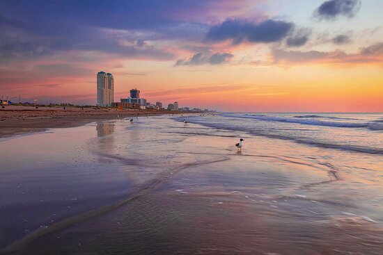 Holiday Inn Resort South Padre Island - Beach Front
