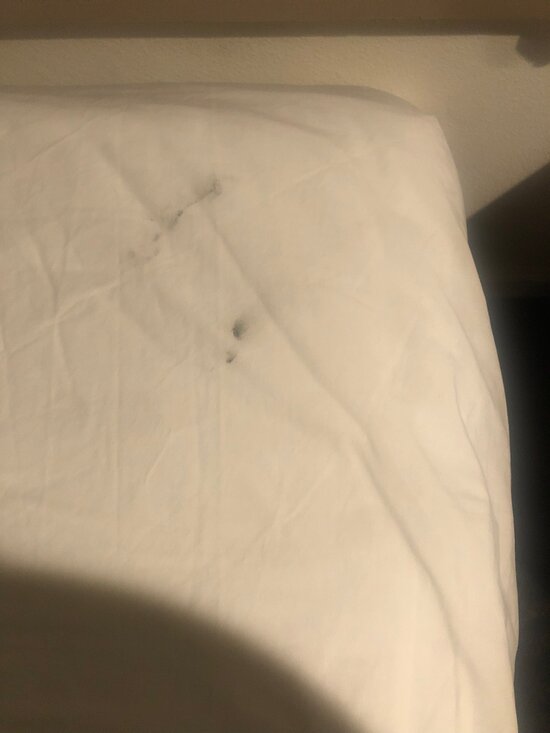 Best Whittier Inn