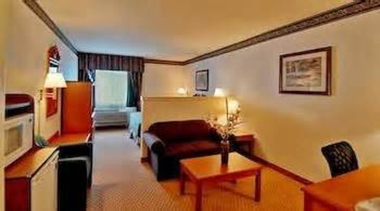 Best Western Dallas Inn & Suites