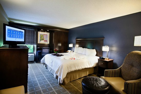Hampton Inn Peachtree Corners Norcross