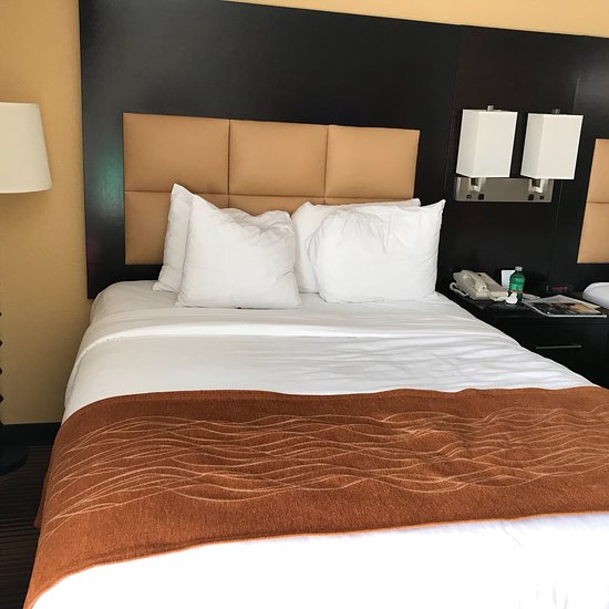 Spark by Hilton Grapevine DFW North