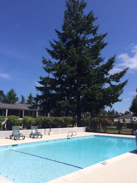 Best Western Lakewood