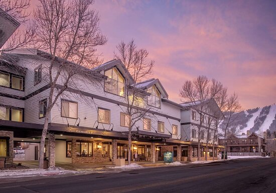 Homewood Suites By Hilton Jackson