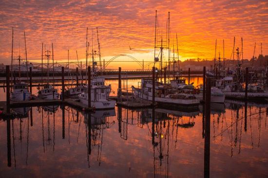 Embarcadero Resort Hotel and Marina
