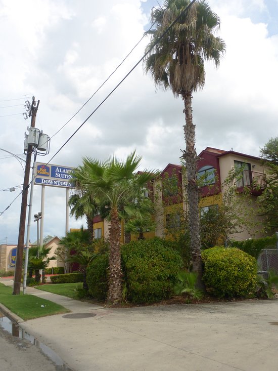 Best Western Alamo Suites