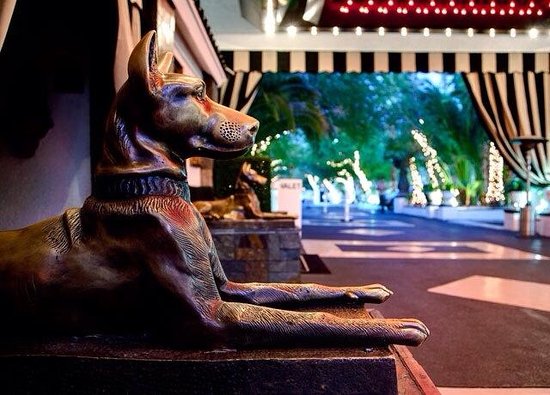 The Lexi Las Vegas