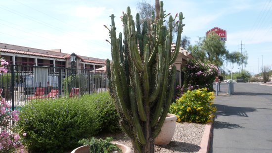 Days Inn by Wyndham Tucson City Center