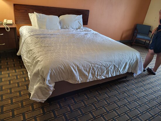 Buckeye Inn near OSU Medical Center, Columbus OH I-71 By OYO