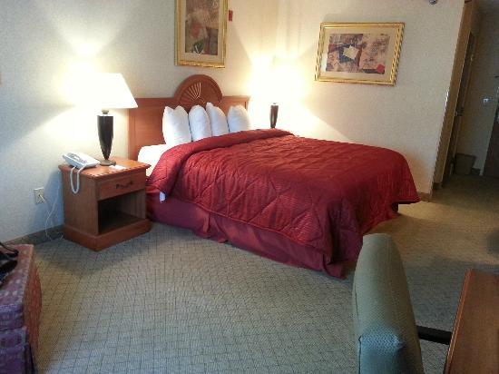 Quality Inn & Suites