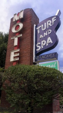 Turf & Spa Motel