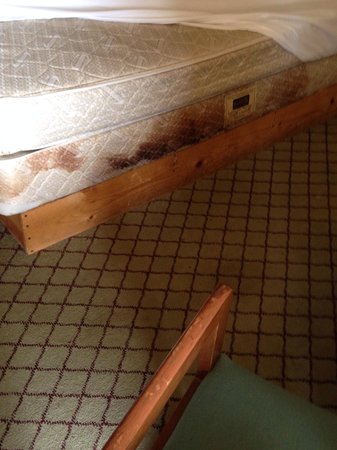 Travel Inn Fort Pierce