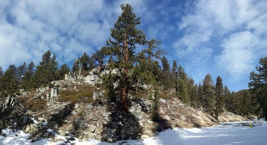 The Bluelake Inn at Tahoe