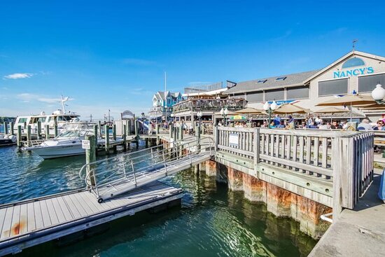 Harbor Landing