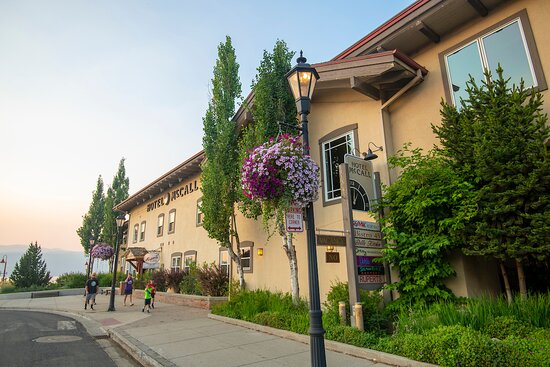 Hotel McCall