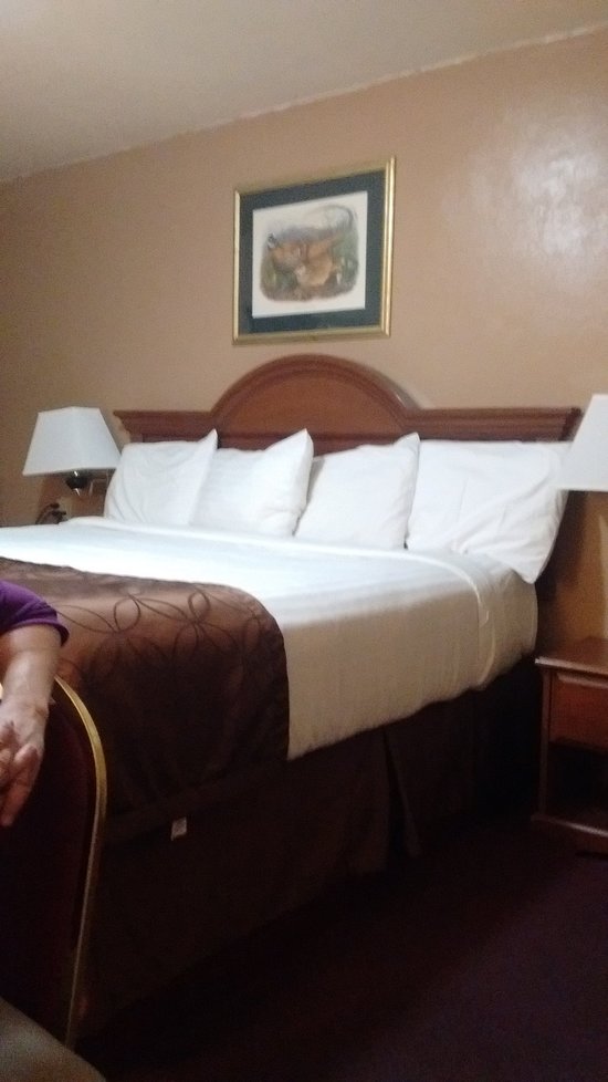 Shamrock Motel