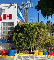 Palm Motel