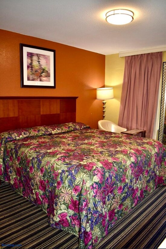 Walnut Forest Motel