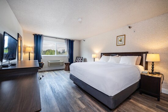 Hotel International