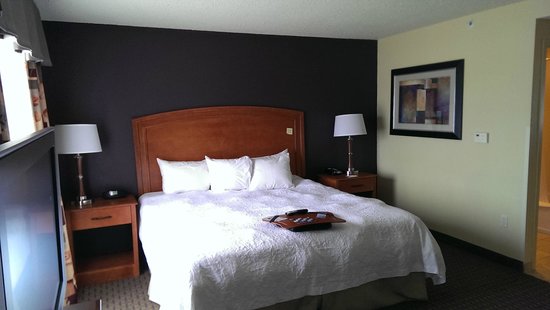 Hampton Inn & Suites Grand Rapids-Airport 28th St