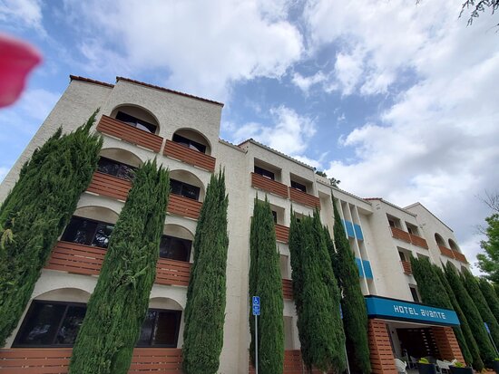 Hotel Avante - JDV by Hyatt