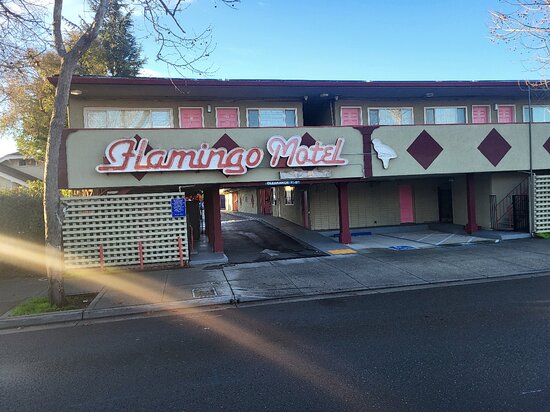 The Flamingo Motel