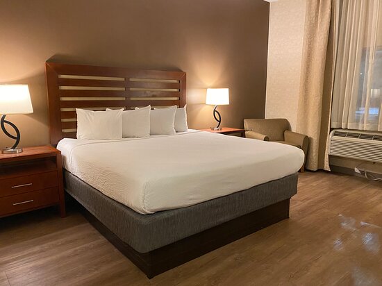 Wyndham Garden Grand Rapids Airport