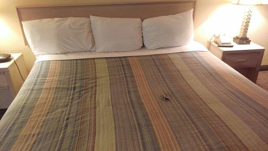 Amco Hotel and Suites
