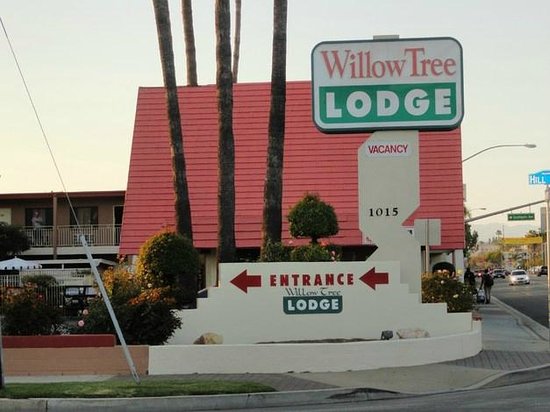 Willow Tree Lodge