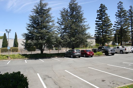 La Quinta Inn & Suites By Wyndham Oakland Airport Coliseum