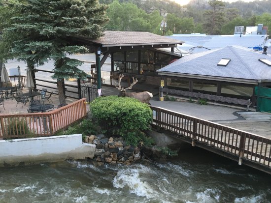 Nicky's Resort