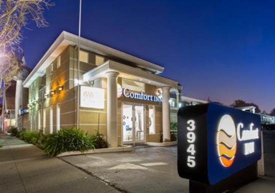 Comfort Inn