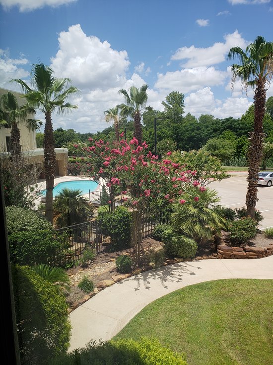 Hampton Inn & Suites College Station / US 6-East Bypass