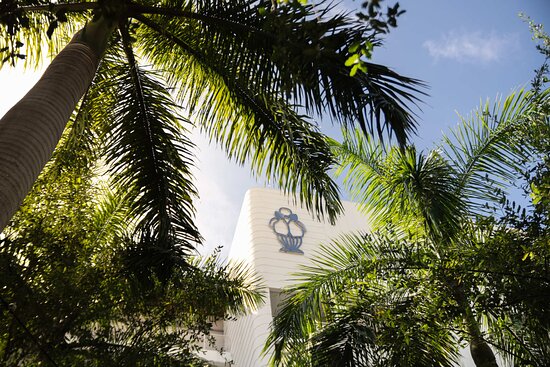 Mr. C Miami - Coconut Grove