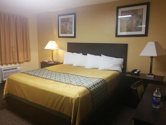 Tropical Palm Motel