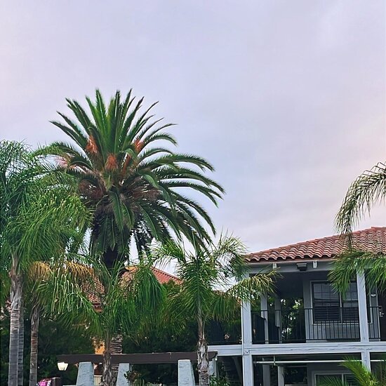 Rodeway Inn