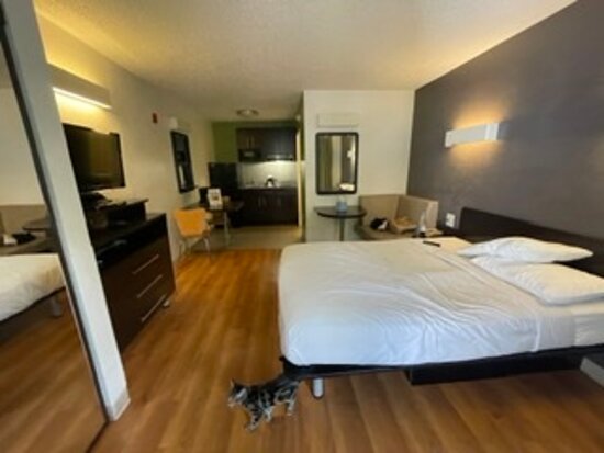 Studio 6 Ft Lauderdale - Coral Springs