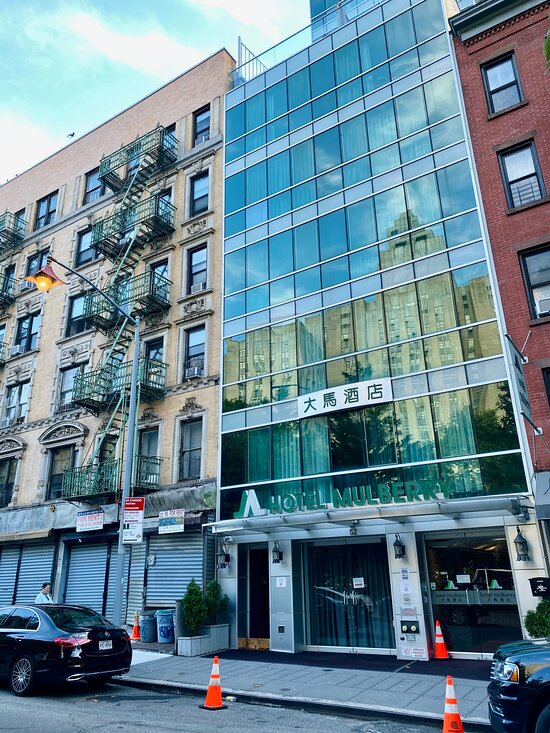 Hotel Mulberry