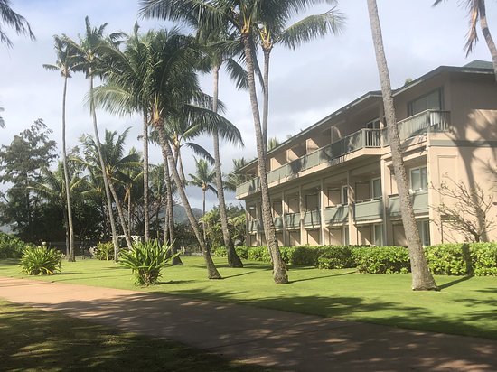 Hotel Coral Reef Resort