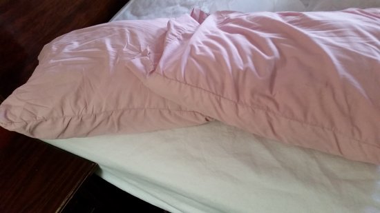 Executive Inn