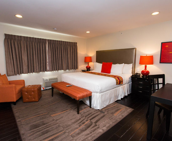 Shelter Hotels Los Angeles