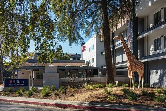 Hilton Garden Inn Davis Downtown