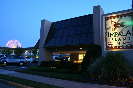 Impala Island Inn