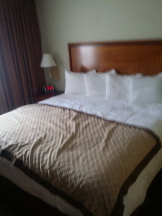 Craigshire Suites - Arlington